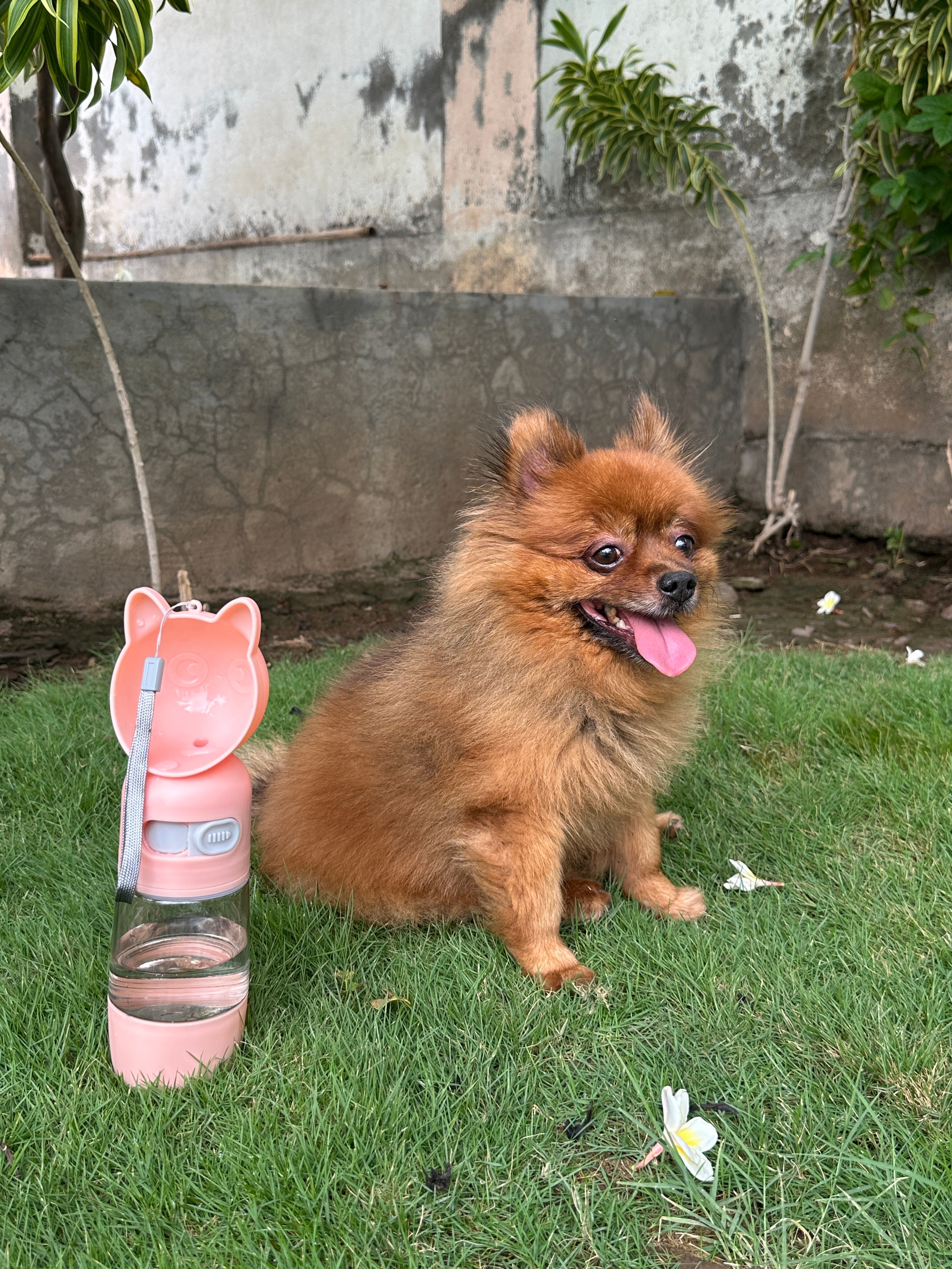 Cat Shaped Anti-Spill Portable Pet Water Bottle