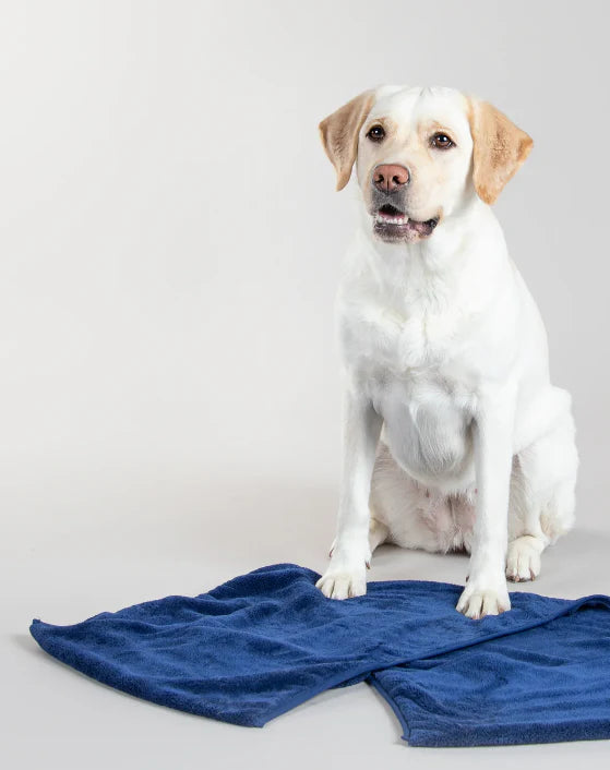 Quick Dry Microfiber Pet Bath Towel