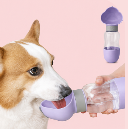 Anti-Spill Portable Pet Water Bottle & Feeding Bowl