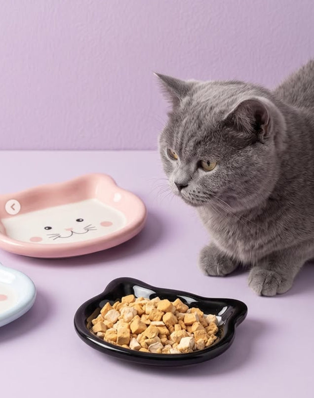 Cute Ceramic Pet Bowl