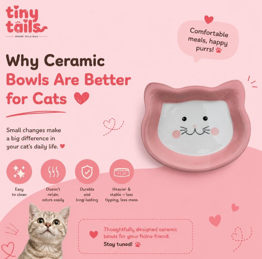 Cute Ceramic Pet Bowl