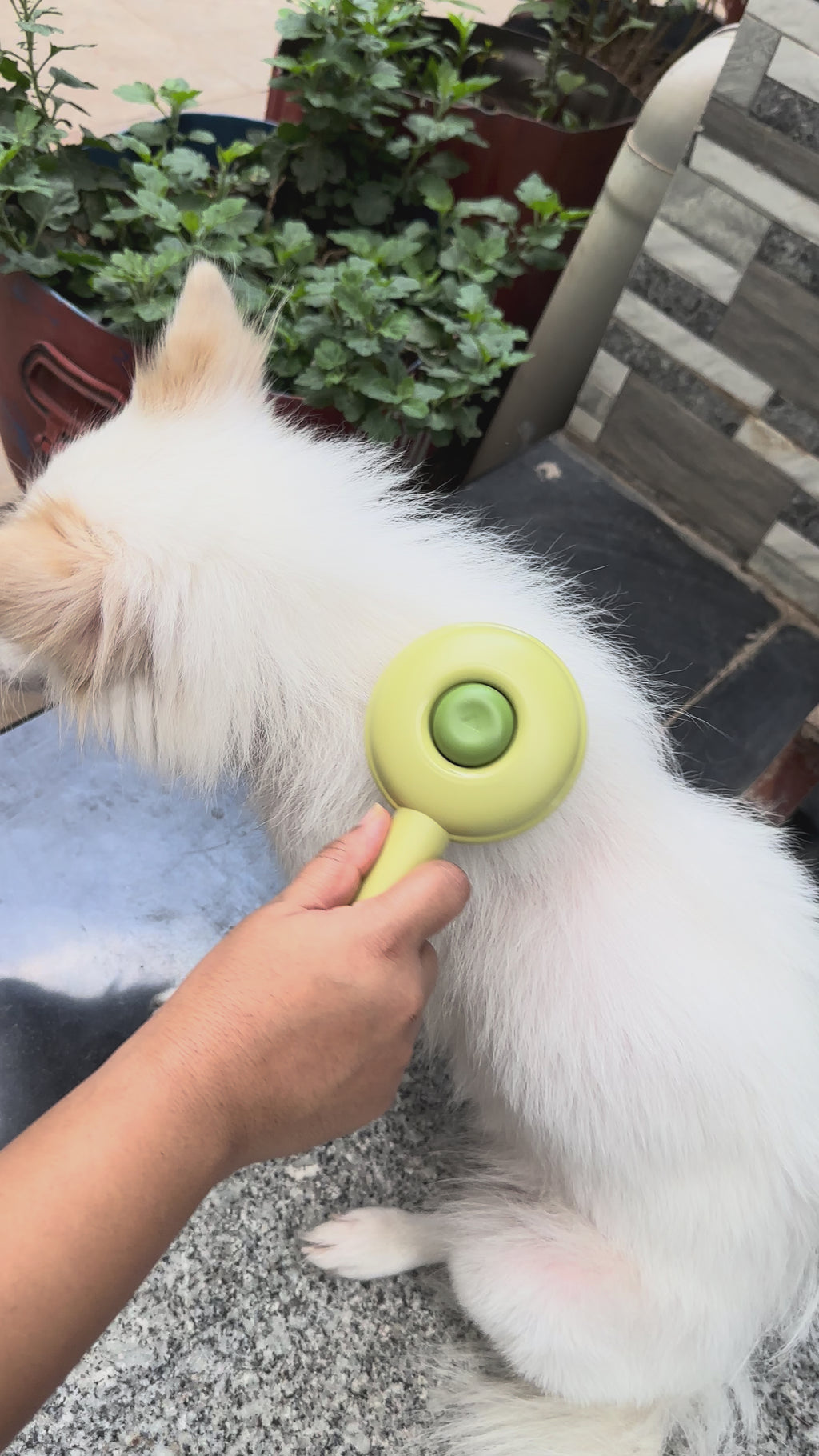 Self-Cleaning Comb For Dogs and Cats