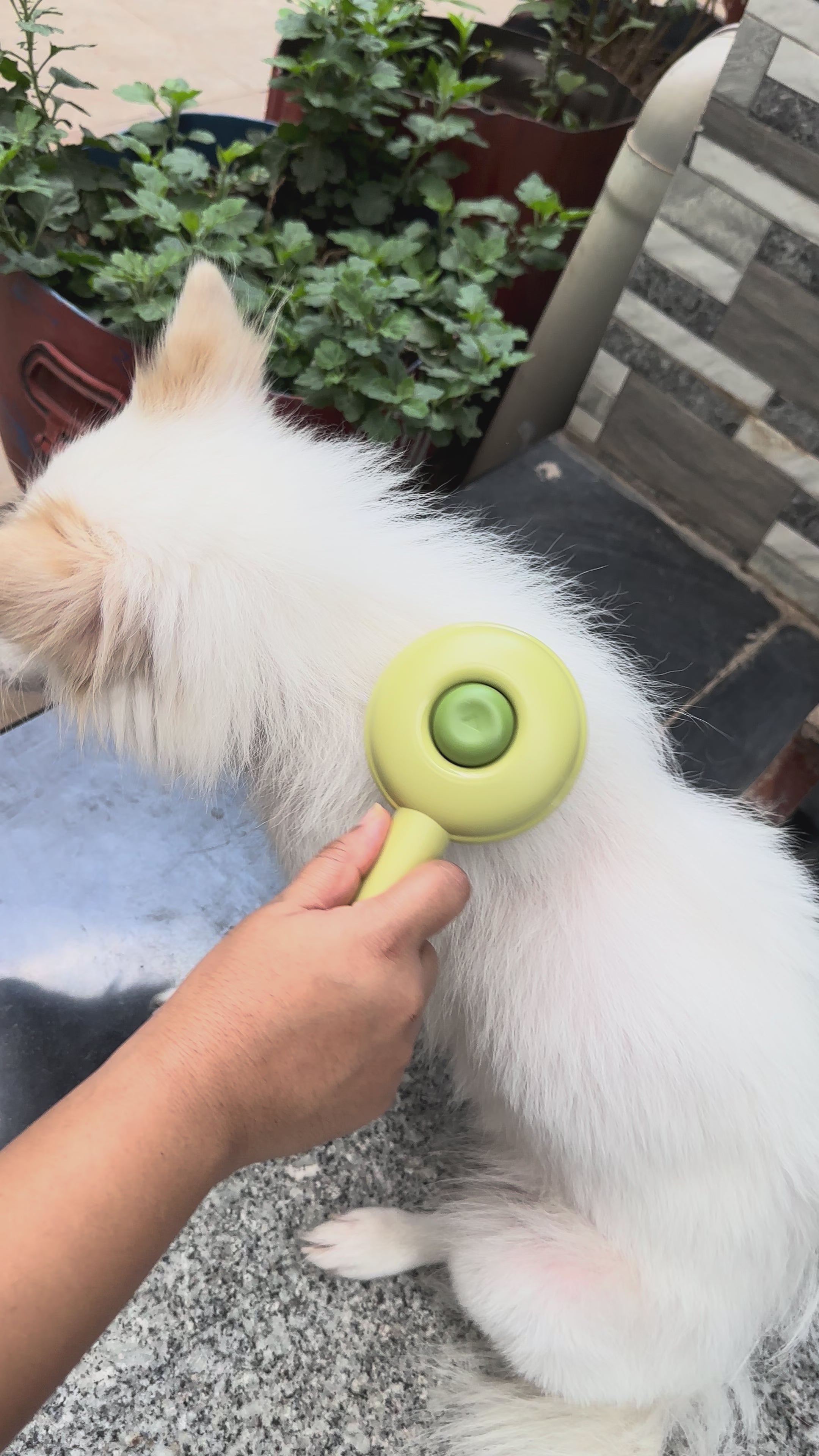 Self-Cleaning Comb For Dogs and Cats