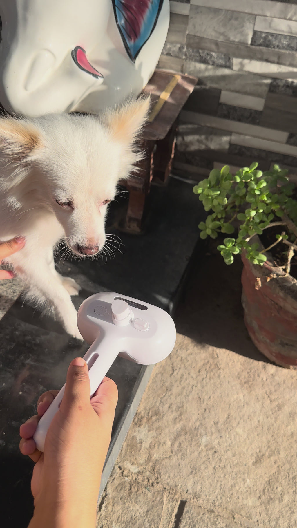 3-in-1 Luxury Stainless Steel Pet Grooming Steam Brush