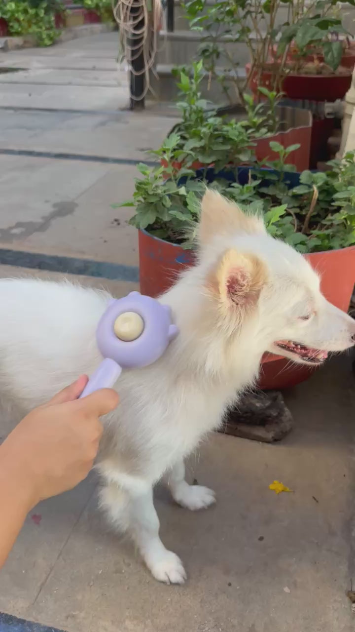 Self-Cleaning Cat-Shaped Pet Grooming Brush
