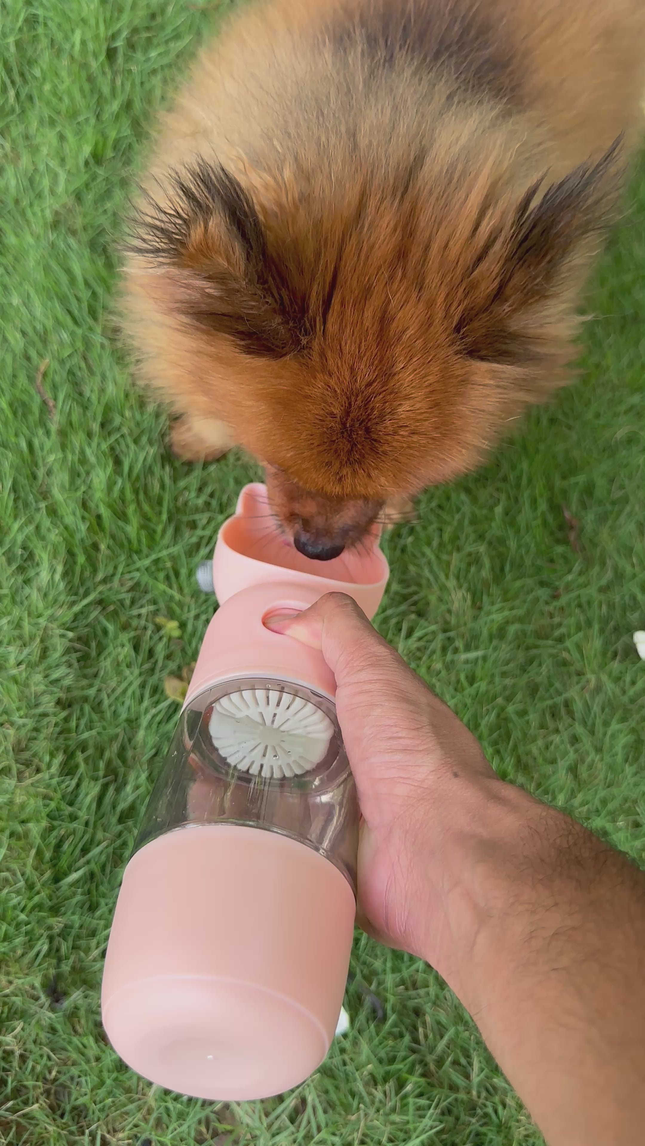 Cat Shaped Anti-Spill Portable Pet Water Bottle