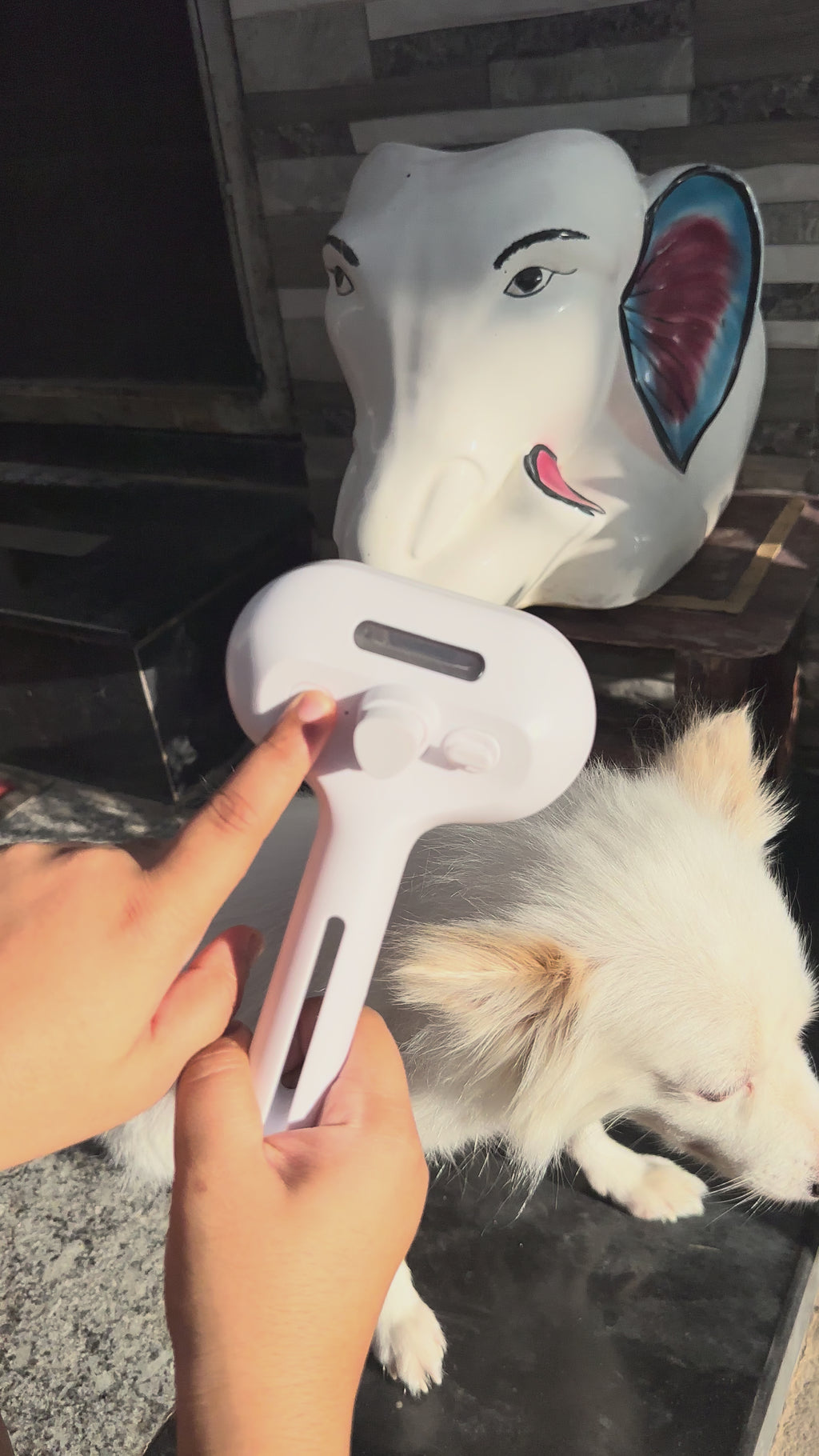 3-in-1 Luxury Stainless Steel Pet Grooming Steam Brush